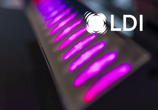LDI
